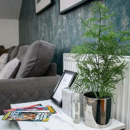 Luxe Living Guest House-Sleeps 6-Private Parking-Free Wifi-Beach-City Swansea Exterior photo